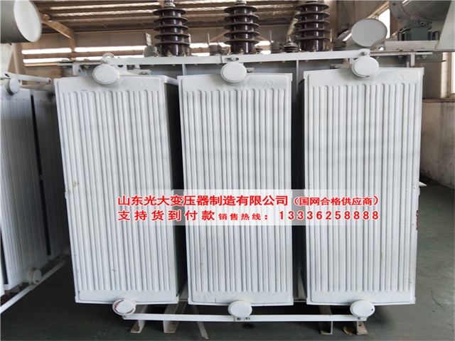 安顺S11-8000KVA油浸式变压器